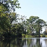 Costa Rica20150402-1557-0814